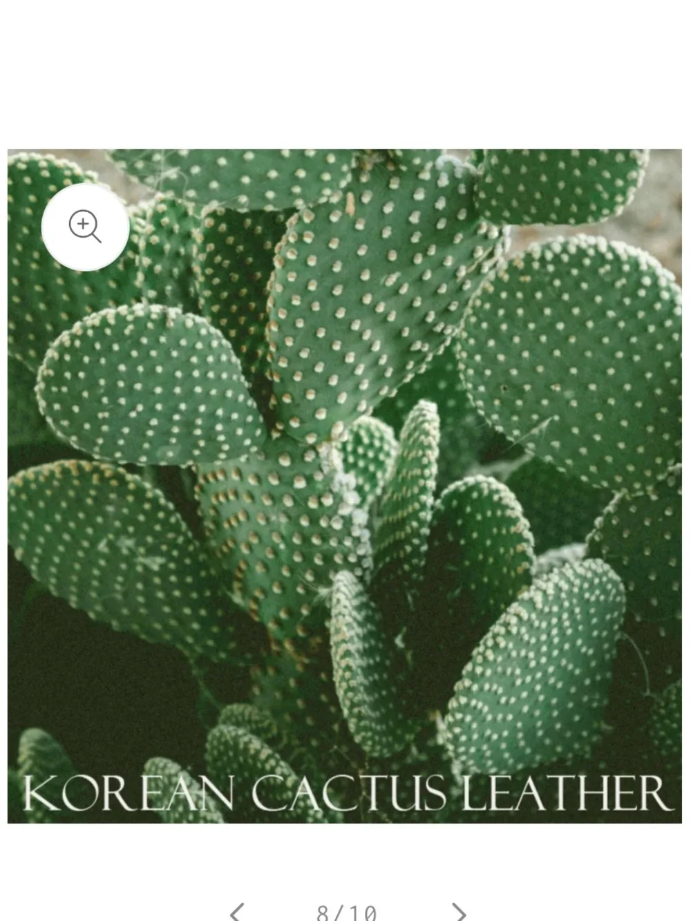 Black Cactus Leather Card Holder Wallet